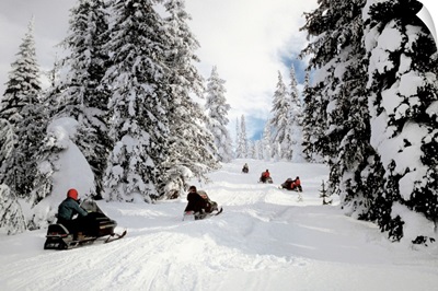 People on snowmobiles in Yellowstone National Park in Wyoming, USA