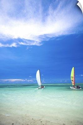 People sailing sailboats in the ocean