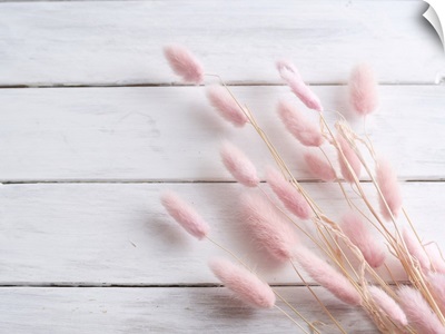 Pink Bunny Tail Grass On White Wooden Table