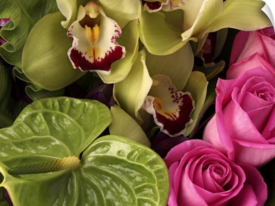Pink roses, green anthuriums, cymbidium orchids