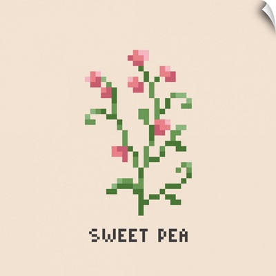 Pink Sweet Pea Pixel Art