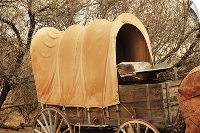 Pioneer Covered Wagon