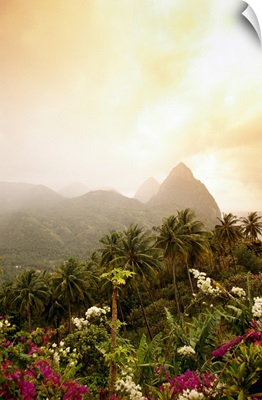 Pitons, St. Lucia