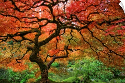 Portland, Oregon's Japanese garden.