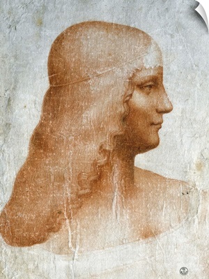 Portrait of Isabella d'Este - Drawing by Leonardo da Vinci