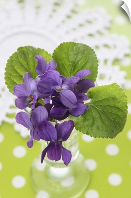 Posy of violet flowers