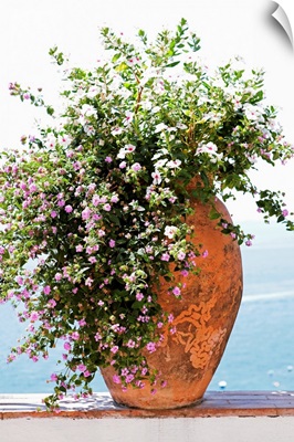 Pot plant on surrounding wall, close-up