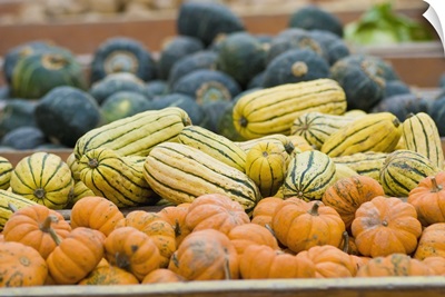 Pumpkins and squash on display at farmer's market