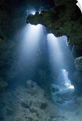 Rays of light shining on coral reef underwater, Grand Cayman Island