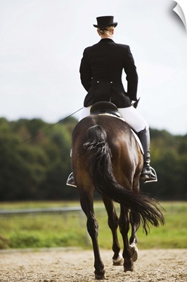 Rear view of female dressage rider exercising