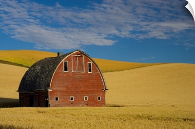 Red Barn In Wheat Field