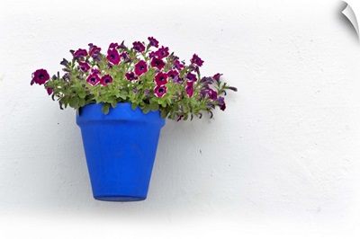 Red flowers in blue vase, on whitewhashed wall
