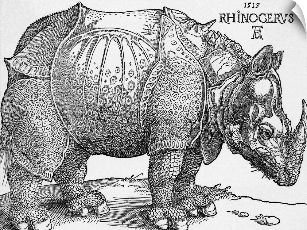 Drawing of a rhinoceros by Albrecht Durer, c. 1515. BPA2