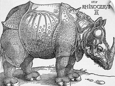 Rhinoceros By Albrecht Durer