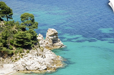 Rock cliffs and Mediterranean pine trees on coast of Chalkidiki peninsula, Greece.