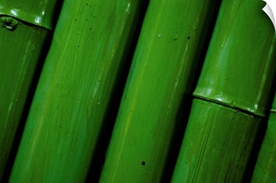 Row of bamboo painted green.