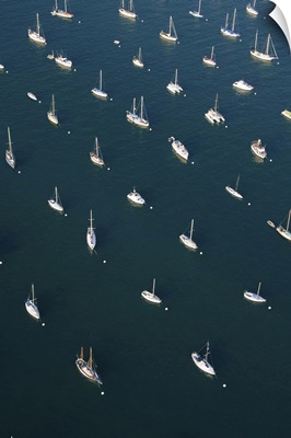 Rows of boats in San Diego bay