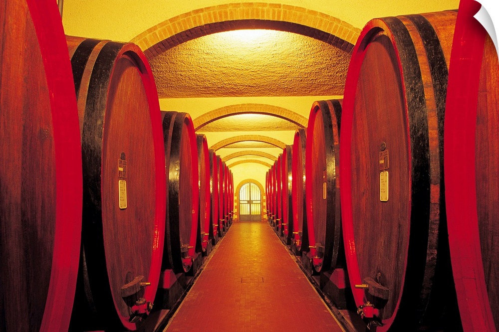 Huge photograph showcases a couple lines of giant barrels containing fermented grape juice extending down the hallway of a...