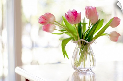 Ruffled pink glass vase filled with soft, pink tulips in front of window