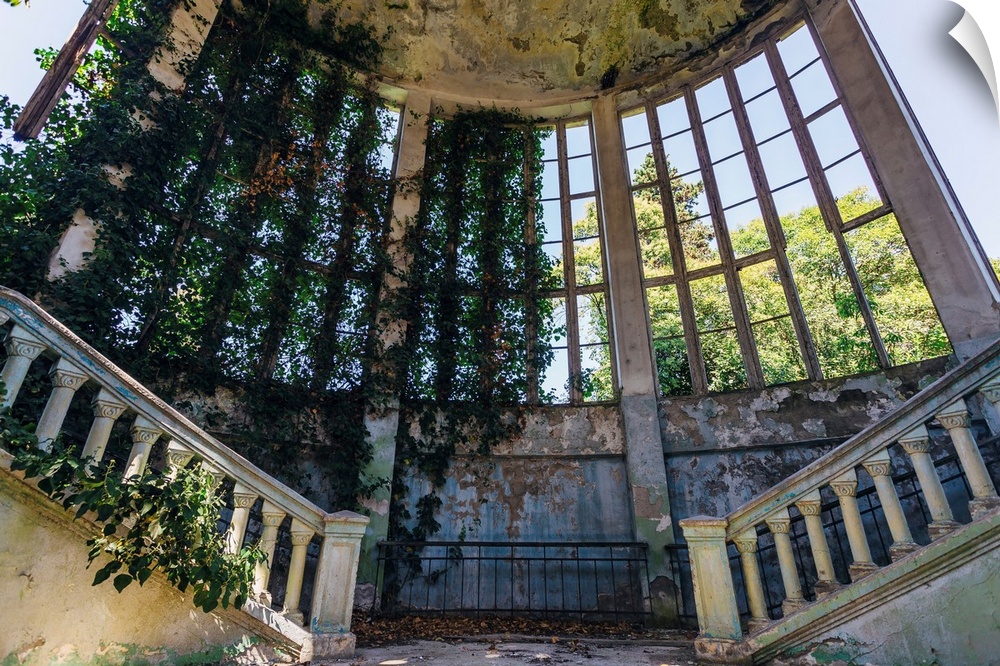 Ruins Of An Overgrown Staircase