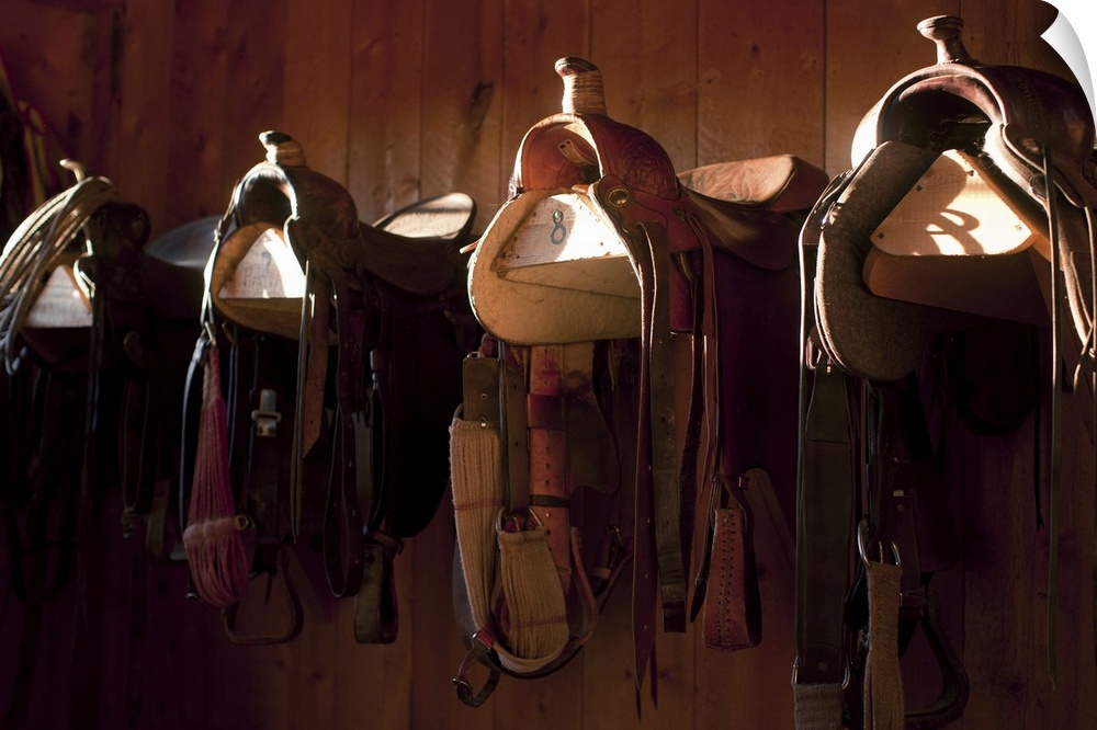 USA, Colorado, Saddles in barn