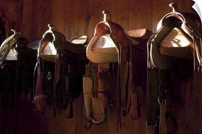 Saddles in barn, Colorado