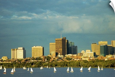 Sailboats in a river, Charles River, Boston, Massachusetts