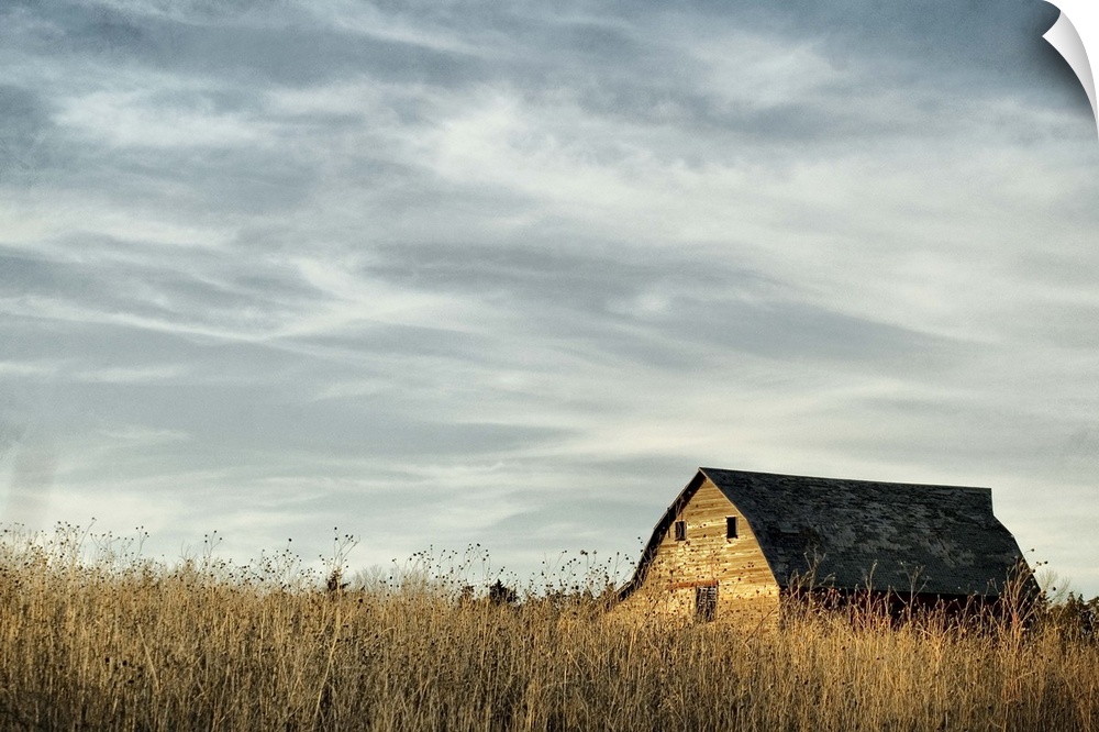 Roof of barn in field, Canada.