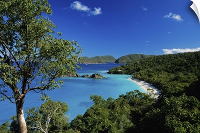 Scenic Caribbean shore