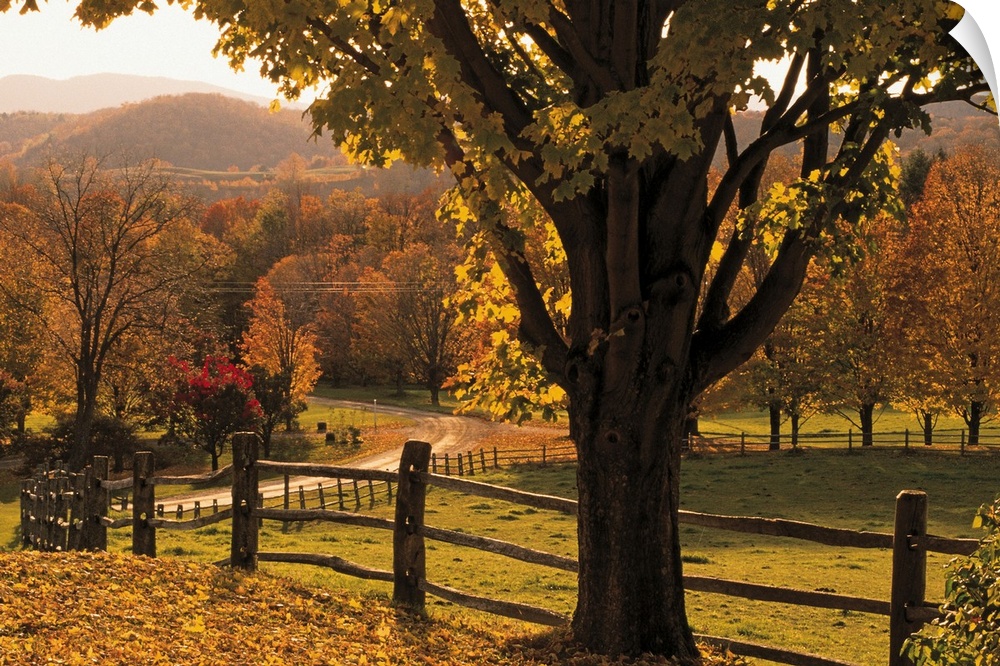 Scenic ranch in autumn , Woodstock , Vermont