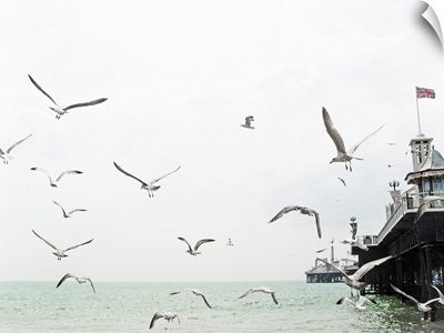 Seagulls flying around Brighton pier