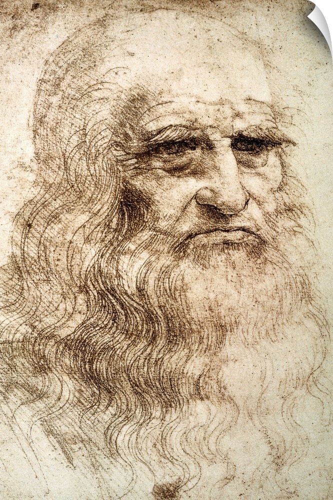 Self-Portrait By Leonardo Da Vinci