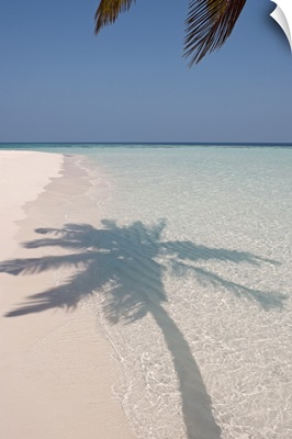 Shadow of a palm tree on a deserted island beach