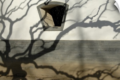 Shadow of a tree on a wall build in traditional style