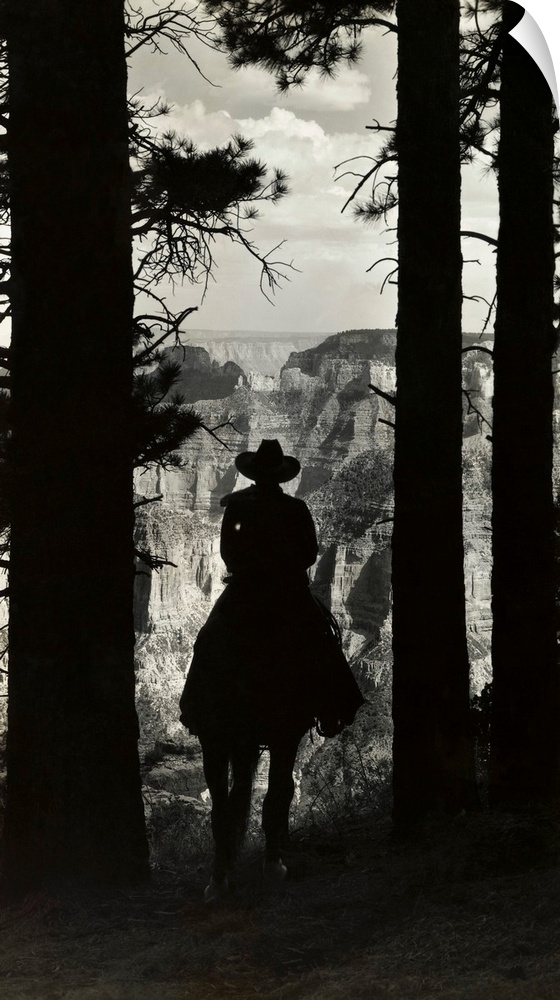 Here is a trail's end for a lonesome cowboy, framed between pine trees on the edge of the Kaibab Forest on the North Rim o...