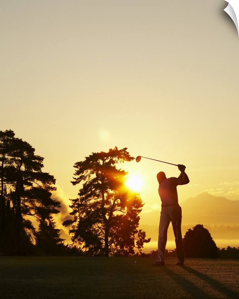Big, vertical photograph of the setting sun behind trees on a golf course.  The silhouette of a golfer swinging the club i...