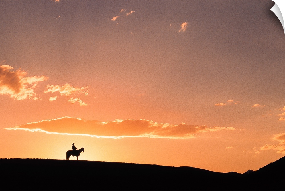 Silhouette of horseback rider on ridge , Fairplay , Colorado