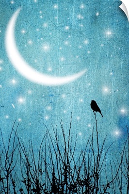Silhouette of one bird and branches against a blue starry night with a quarter moon.