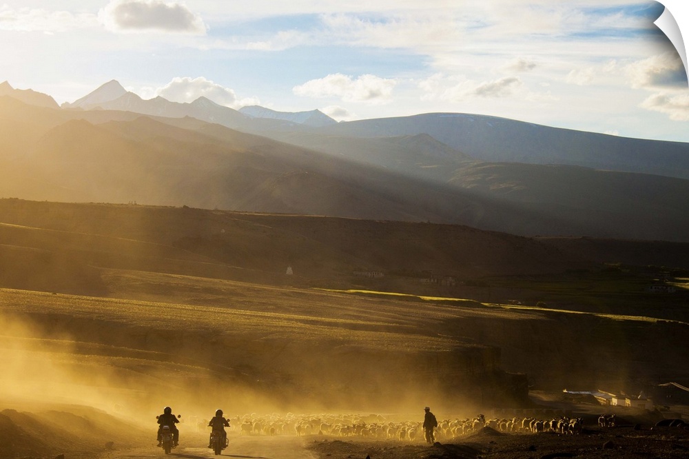Riders and shepherd on road, Ladakh, India.