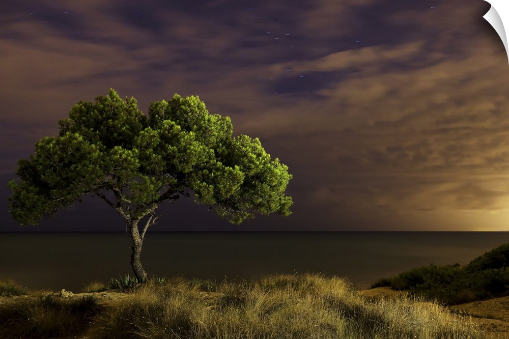 Single tree at night with omnious sky, Spain.