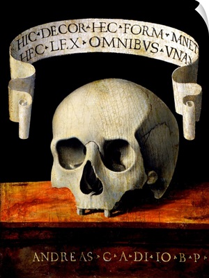 Skull Of A Man - Memento Mori By Andrea Previtali