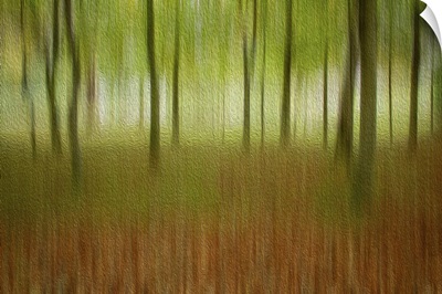 Smooth Autumnal Woodland In Green And Orange