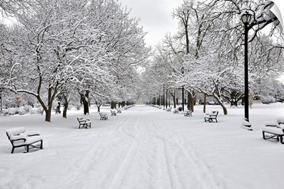 Snow covered benches and trees in Washington Park Albany, New York.