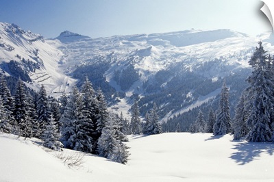 Snow-covered trees and mountains, winter