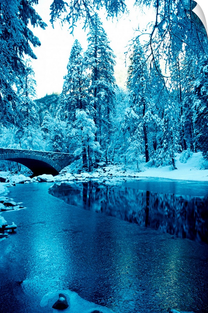 Snow in Yosemite National Park, California