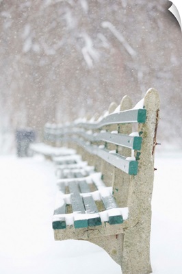 Snowing on park benches, Boston, Massachusetts