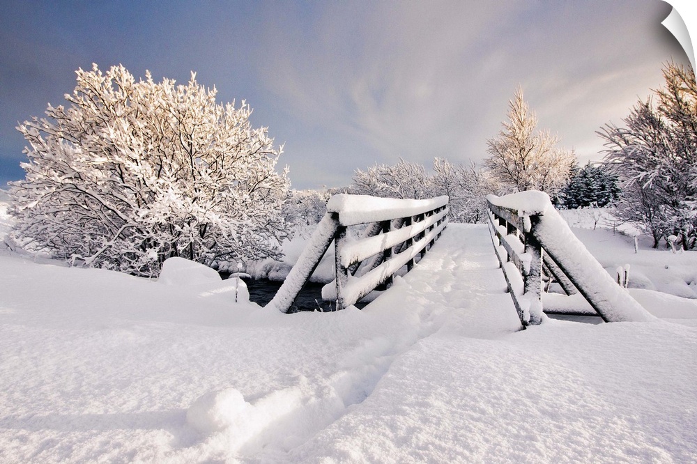 Snowy bridge at winter with frozen trees in Iceland.