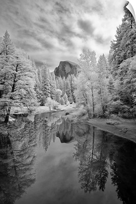 Snowy Overview at Yosemite National Park.