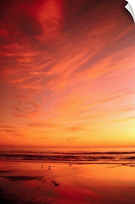 Southern California Sunset At Beach