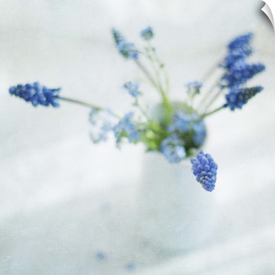 Spring muscari and forget-me-not flowers in white jug.